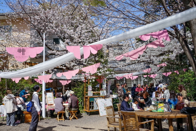 takajosakurafes04.jpg