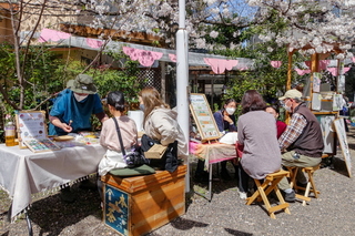 takajosakurafes06.jpg