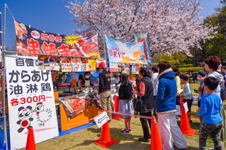 takaokasakurafes2019i.jpg