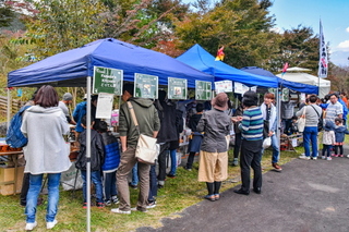 takeshikamori05.jpg