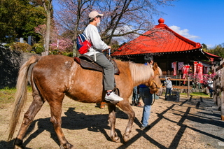 takigawakannonfes2024c.jpg