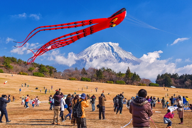 takofuji2019d.jpg