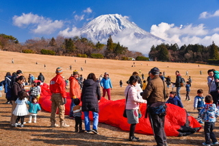 takofuji2019e.jpg