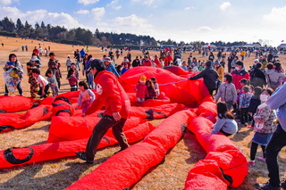 takofuji2019f.jpg