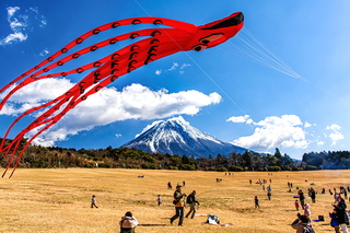 takofuji2024i.jpg
