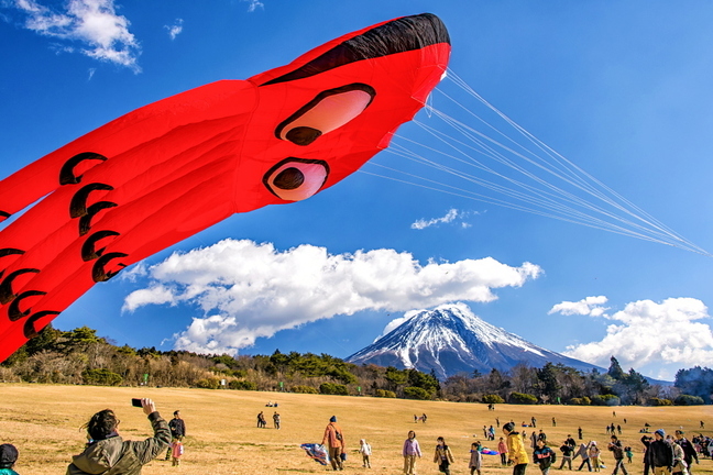 takofuji2024k.jpg