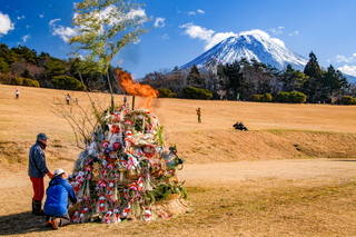 takofuji2024l.jpg