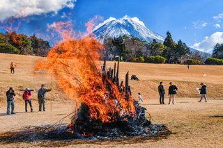 takofuji2024m.jpg