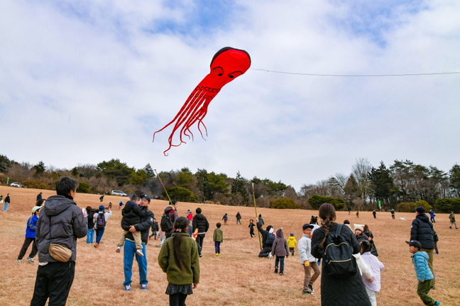 takofuji2025h.jpg