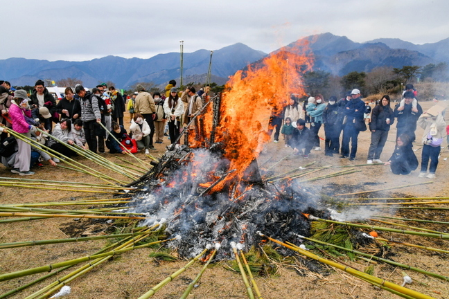 takofuji2025l.jpg