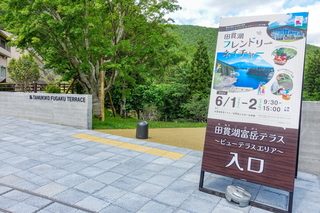 tanukikofn11.jpg