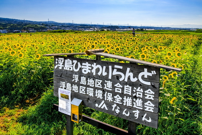 uki_himawari2021a.jpg