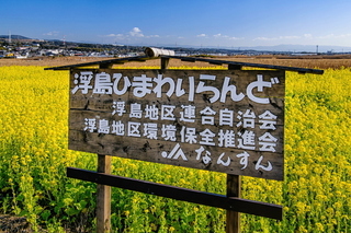 ukihl_nanohana2020g.jpg