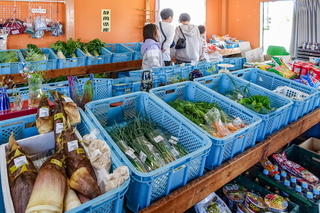 ukuiukigarden12.jpg