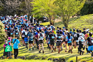 utmf2022s.jpg