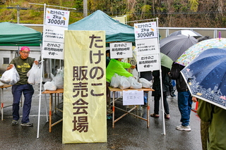 utsubusa_sakurafes2025b.jpg
