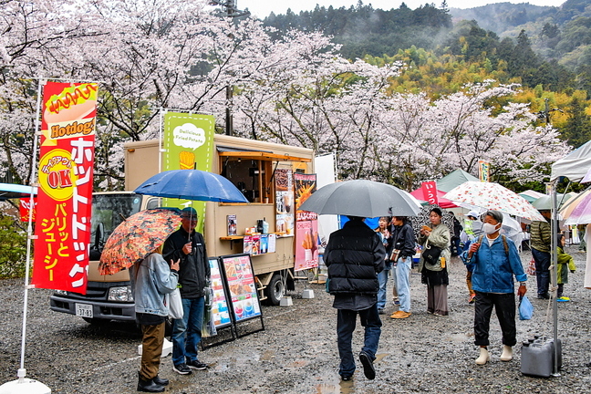 utsubusa_sakurafes2025e.jpg