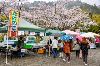 utsubusa_sakurafes2025f.jpg