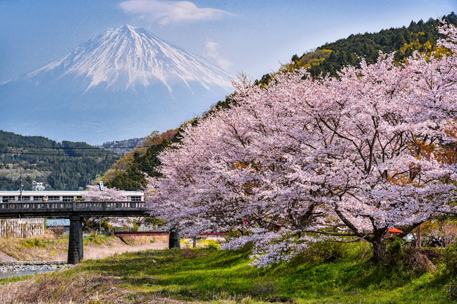 utsubusafes2019a.jpg