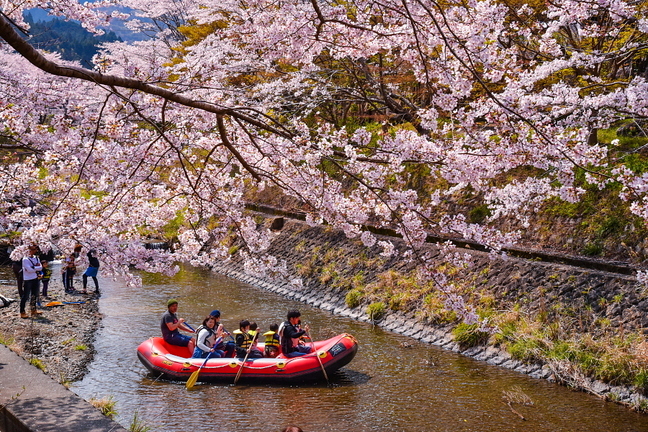 utsubusafes2019d.jpg