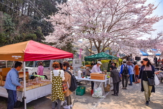 utsubusafes2019g.jpg