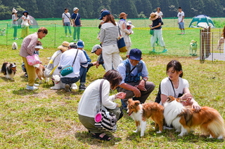wanwanmarche09.jpg