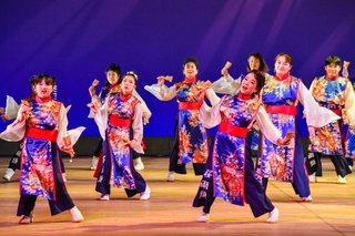 yosakoirose2018k.jpg