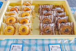 yoshiwarakashifes10.jpg