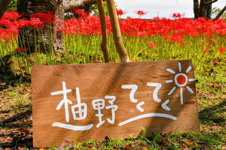yunoteku202309p.jpg
